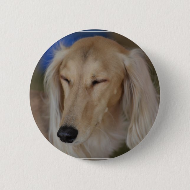 Sömnig Saluki hund Knapp (Framsida)