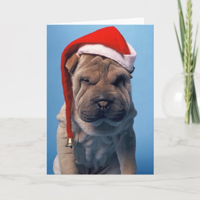 Sömnig Shar Pei x mas Chrstmas hund Helgkort (Framsida)