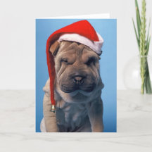 Sömnig Shar Pei x mas Chrstmas hund