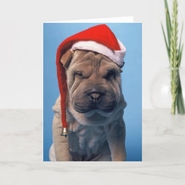 Sömnig Shar Pei x mas Chrstmas hund Helgkort