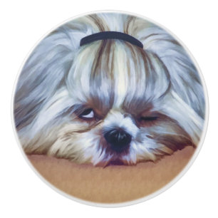 Sömnig Shih Tzu hund Knopp