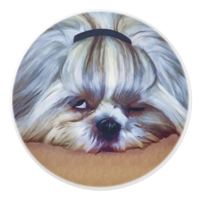 Sömnig Shih Tzu hund Knopp (Framsidan)