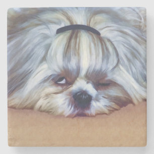 Sömnig Shih Tzu hund Stenunderlägg