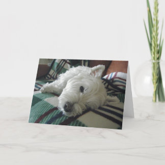 Sömnig Soffa Westie Photo Greeting Card Kort
