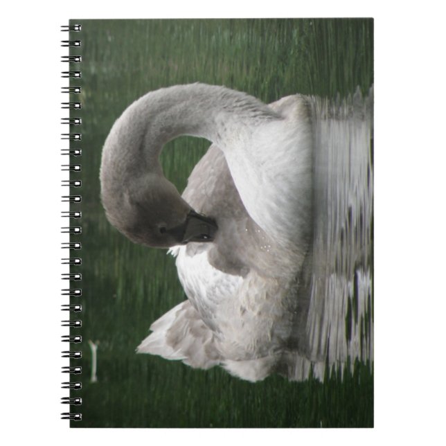 Sömnig Svan bärbar dator Anteckningsbok Med Spiral (Framsidan)
