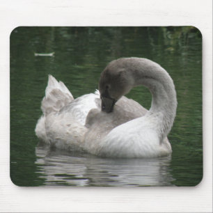 Sömnig Svan Mousepad Musmatta