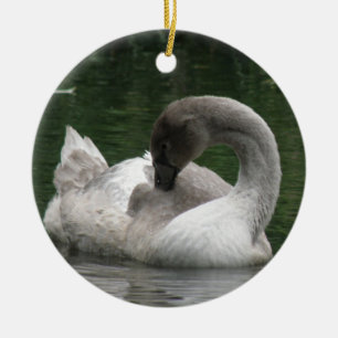 Sömnig Svan Ornament