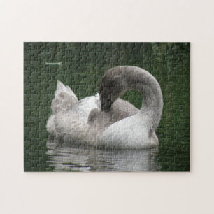 Sömnig Svan Puzzle Pussel