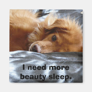 Sömnig synad hund magnet