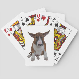 Sömnig tjurTerriervalp som leker kort Spel Kort
