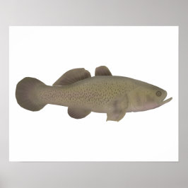 Sömnig torsk poster
