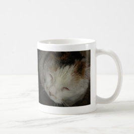Sömnig trefärgad katt kaffemugg