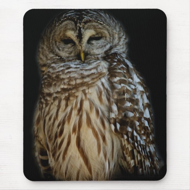 Sömnig Uggla Mousepad Musmatta (Framsidan)