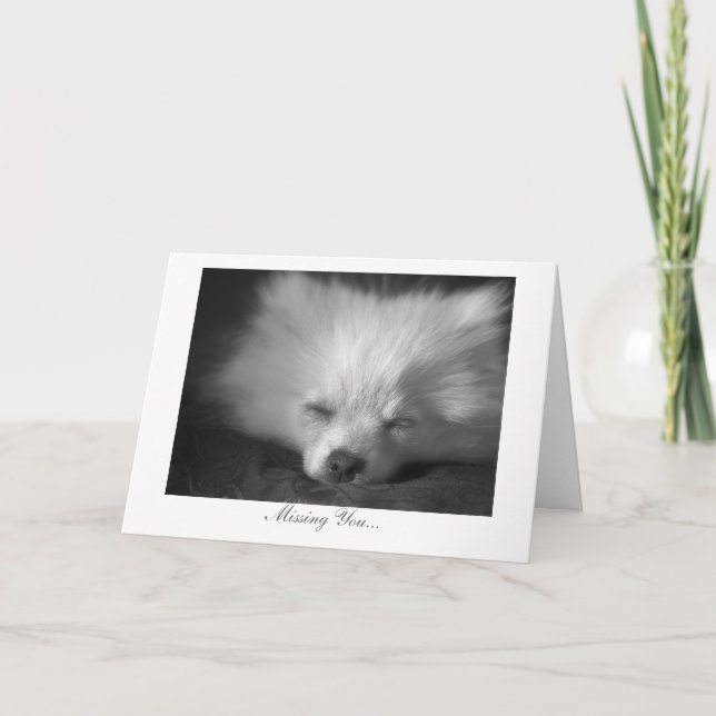 Sömnig valp - saknad dig kort (Framsida)