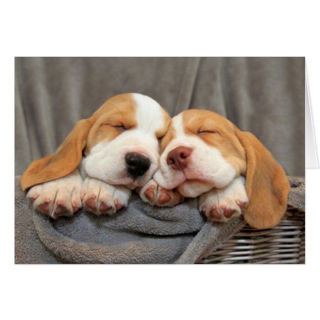 Sömnig valpar hälsningskort (Framsidan Horizontal)