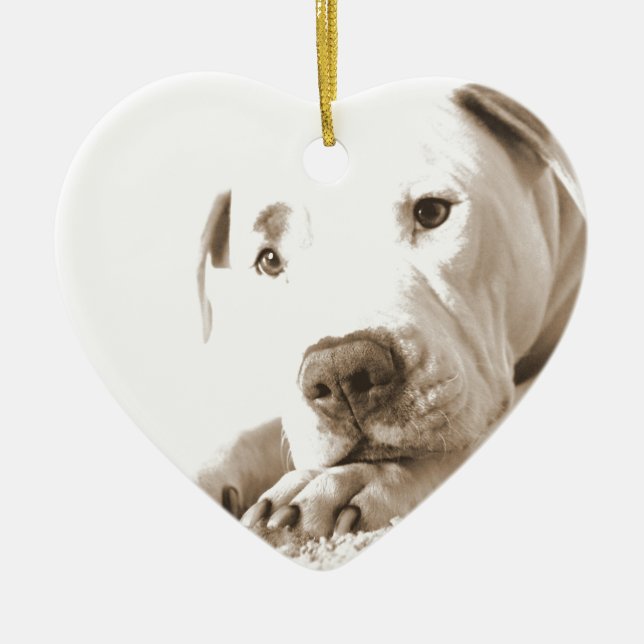 sömnig vänlig vit pitbull hat handling inte ras julgransprydnad keramik (Framsidan)