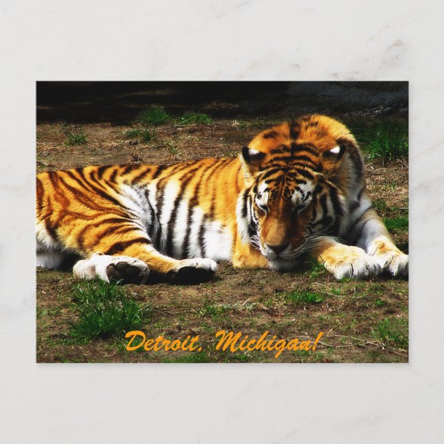 Sömnig Vykort (Framsida)