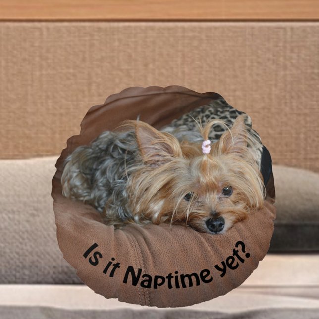 Sömnig Yorkshire Terrier är det Naptime ännu Rund Kudde (Skapare uppladdad)