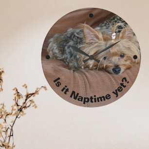 Sömnig Yorkshire Terrier Stor Klocka