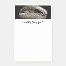 "Sömniga fläckar" som Posta-Det noterar, 4 x 6 Post-it Block