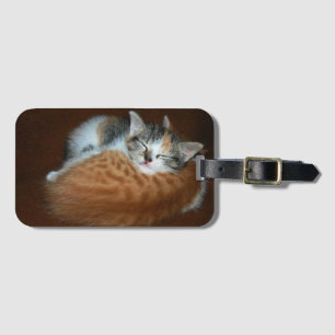 Sömniga kattungar bagagebricka