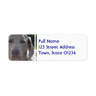 Sömniga Weimaraner Returadress Etikett