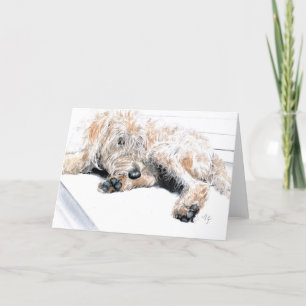 Sömnigt Labradoodle hälsningkort Kort