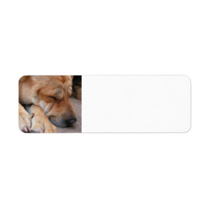 Sömnpäron sover.png returadress etikett