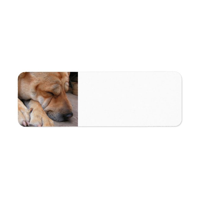 Sömnpäron sover.png returadress etikett (Framsidan)