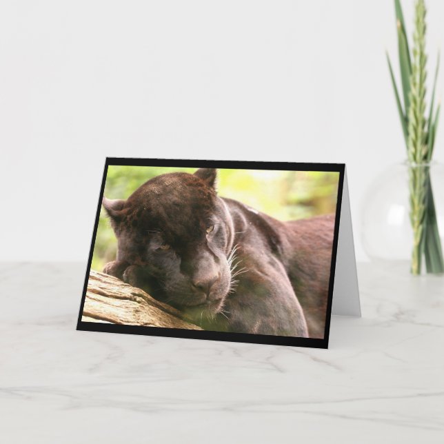 Sömnsprickor i svart Panther Kort (Framsida)