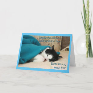 Sömnsvart och vit katt kort