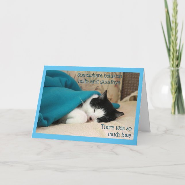 Sömnsvart och vit katt kort (Framsida)