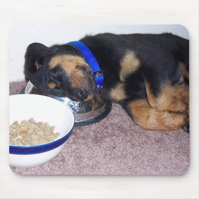 sömntuta rottweiler. musmatta (Framsidan)