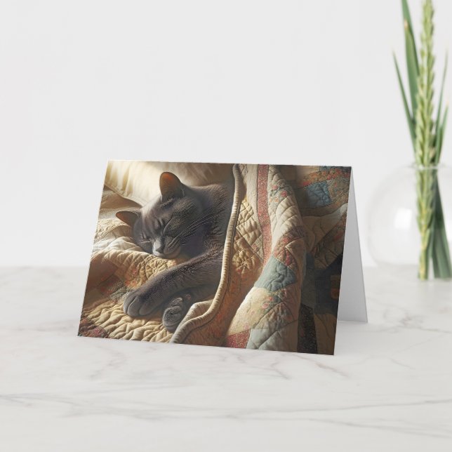 Sömpande Grått Cat Kort (Framsida)
