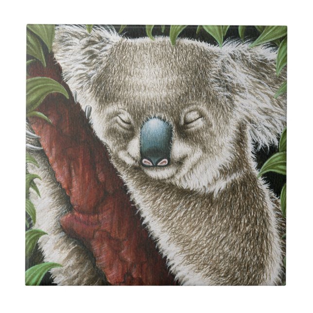 Sömpande Koala Tile Kakelplatta (Framsidan)