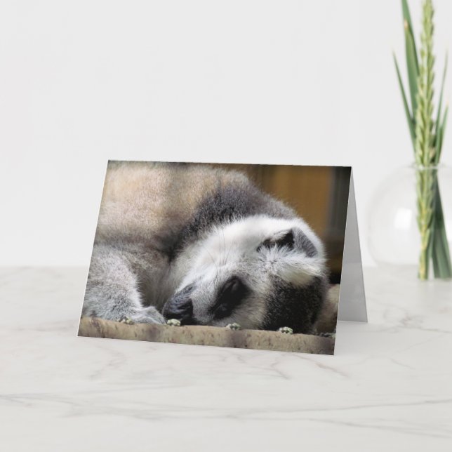 Sömpiga Lemur-hälsningskort Kort (Framsida)