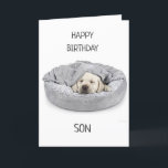 SON PÅ BIRTHDAY! KORT<br><div class="desc">TACK FÖR ATT VI STOPPADE AV ETT AV MINA ÅTTA STOPPAR!!!!!!</div>