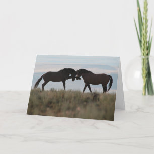 "Son & Sire" Mustang Wildcard Kort