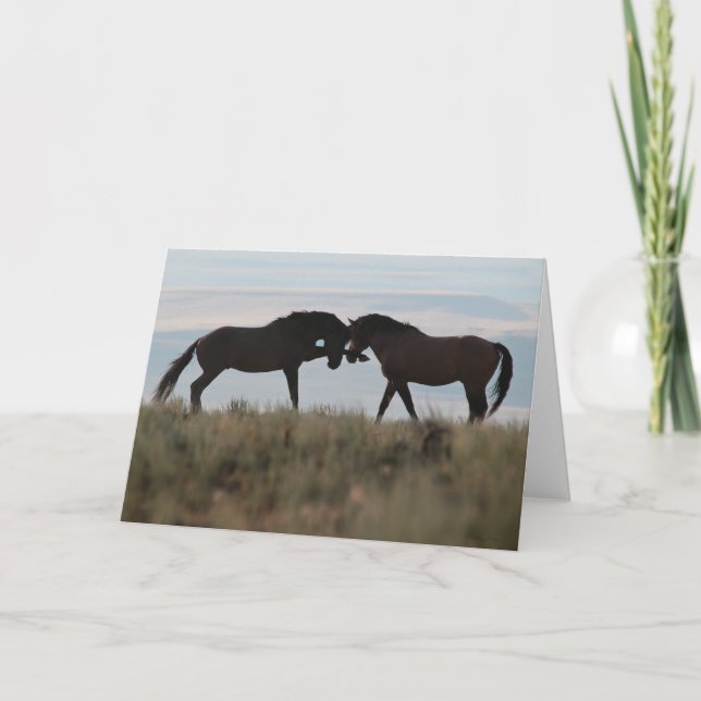 "Son & Sire" Mustang Wildcard Kort (Framsida)