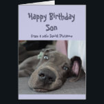 Son Social Avstånd Birthday Great dane Hund Hälsningskort<br><div class="desc">Lustigt Social som Avstånd födelsedagskort åt din son med en söt vila, lägger sig runt och gör ingenting alls åt Great dane Hund. Insida: Se till att du inte överträffar festen i år. Underbart kort för den speciella personen med en känsla av humor eller en som gillar Great dane, hundar...</div>