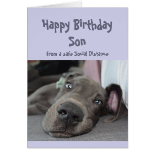 Son Social Avstånd Birthday Great dane Hund Hälsningskort
