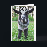 *SON* STOPPA MED PÅ BIRTHDAG TILL SÅ LYCKLIG KORT<br><div class="desc">TACK FÖR ATT STOPPA MED EN AV MINA ÅTTA LAGRINGAR. GRATTIS PÅ FÖDELSEDAGEN TILL "SON" ELLER TILL OCH MED DIN "SON-IN-LAG"</div>