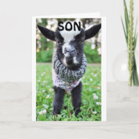 *SON* STOPPA MED PÅ BIRTHDAG TILL SÅ LYCKLIG