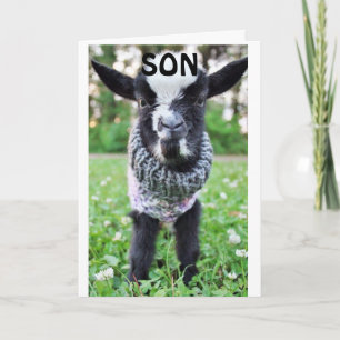 *SON* STOPPA MED PÅ BIRTHDAG TILL SÅ LYCKLIG KORT