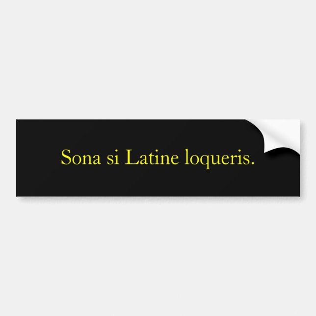 Sona si Latine loqueris. Bildekal (Framsidan)