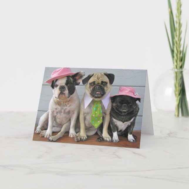 Söndag Best Kort (Framsida)