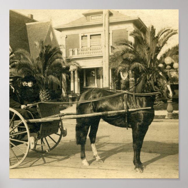 Söndag Best Poster (Framsidan)