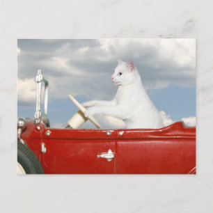 Söndag-enhet Vykort