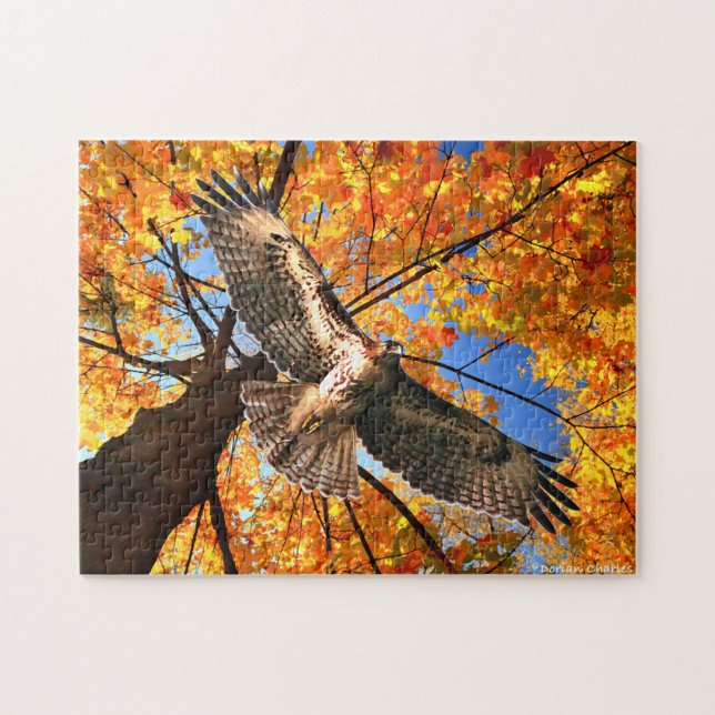 "Söndag Hawk"-pussel Pussel (Horisontell)