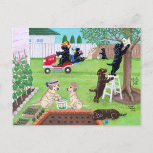 Söndag Roligt Labradors Painting Vykort